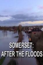 Watch Somerset: After the Floods Afdah