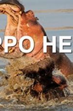 Watch Hippo Hell Afdah