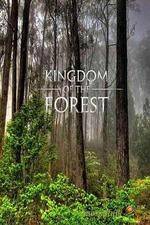 Watch National Geographic Kingdom of the Forest Afdah