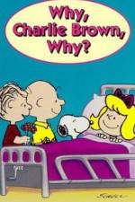 Watch Why Charlie Brown Why Afdah