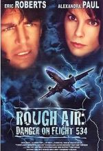 Watch Rough Air: Danger on Flight 534 Afdah