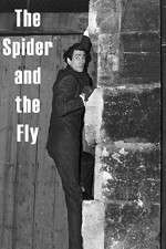 Watch The Spider and the Fly Afdah