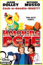 Watch Hatching Pete Afdah