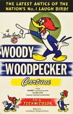 Watch The Woody Woodpecker Polka Afdah