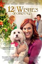 Watch 12 Wishes of Christmas Afdah