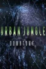 Watch National Geographic Wild Urban Jungle Downtown Afdah