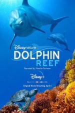 Watch Dolphin Reef Afdah