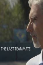 Watch Senna The Last Teammate Afdah