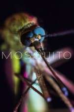 Watch Mosquito Afdah