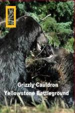 Watch National Geographic Grizzly Cauldron Afdah