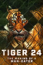 Watch Tiger 24 Afdah