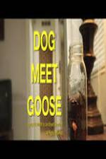 Watch Dog Meet Goose Afdah