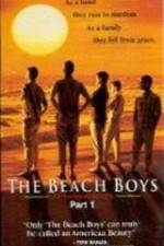Watch The Beach Boys An American Family Afdah