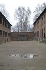 Watch Made in Auschwitz: The Untold Story of Block 10 Afdah