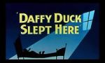 Watch Daffy Duck Slept Here (Short 1948) Afdah
