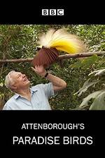 Watch Attenborough's Paradise Birds Afdah