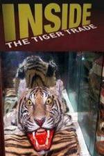 Watch Inside: The Tiger Trade Afdah