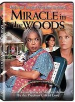 Watch Miracle in the Woods Afdah