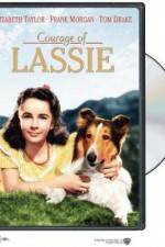 Watch Courage of Lassie Afdah