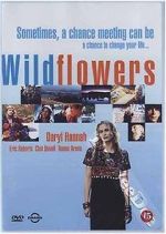 Wildflowers afdah
