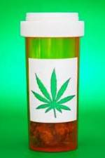 Watch Medicinal Cannabis and its Impact on Human Health Afdah