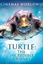 Watch Turtle The Incredible Journey Afdah