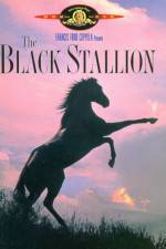 Watch The Black Stallion Afdah