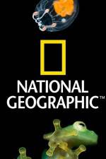 Watch National Geographic Wild Dam Beavers Afdah