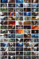 Watch The Tree of Life Movie2k