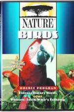Watch PBS Nature - Extraordinary Birds Afdah