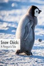 Watch Snow Chick: A Penguin's Tale Afdah