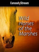 Watch Wild Horses of the Marshes Afdah