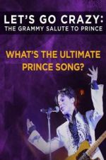 Watch Let\'s Go Crazy: The Grammy Salute to Prince Afdah