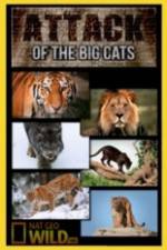 Watch National Geographic Attack Of The Big Cats Afdah