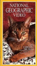 Watch Cats: Caressing the Tiger Afdah