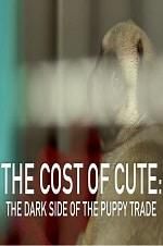 Watch The Cost of Cute: The Dark Side of the Puppy Trade Afdah
