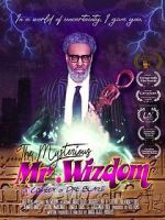 Watch The Mysterious Mr. Wizdom Afdah
