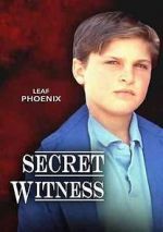 Watch Secret Witness Afdah