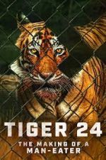 Watch Tiger 24 Afdah