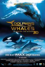 Watch Dolphins and Whales 3D Tribes of the Ocean Afdah