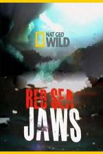 Watch National Geographic Red Sea Jaws Afdah