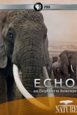 Watch Echo: An Elephant to Remember Afdah