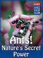 Watch Ants: Nature\'s Secret Power Afdah