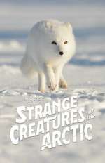 Watch Strange Creatures of the Arctic (TV Special 2022) Afdah