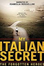 Watch My Italian Secret: The Forgotten Heroes Afdah