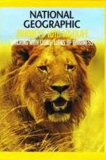 Watch National Geographic: Walking with Lions Afdah