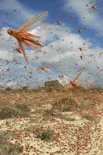 Watch Swarm Chasers: Locusts Afdah