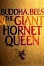 Watch Natural World Buddha Bees and the Giant Hornet Queen Afdah