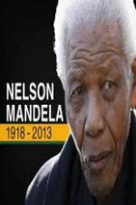 Watch Nelson Mandela: The Final Chapter Afdah