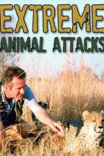 Watch Extreme Animal Attacks Afdah